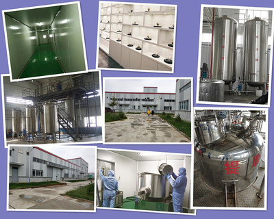 刺梨粉检测服务 保障品质与安全的专业护航