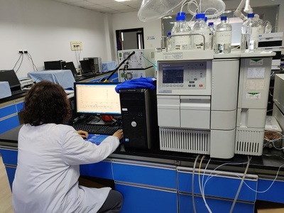 以新项目检测为引擎，全面提升为民服务能力