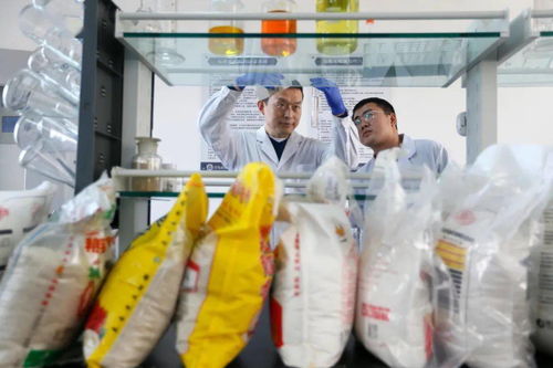 即墨检测服务 为企业拓展市场保驾护航